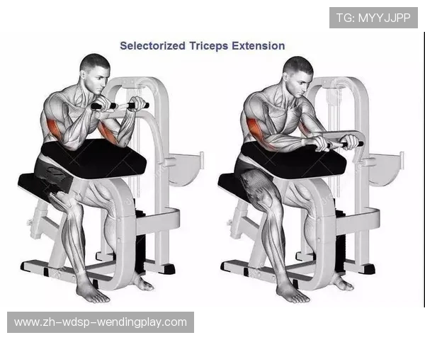 健身器材胳膊往上训练动作详解及注意点